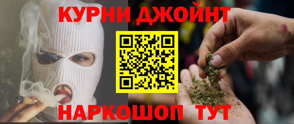 Бошки марихуана планчик  Вход с VPN  Марихуана сатива  Марихуана семена  Конопля OG Kush  Губкин 